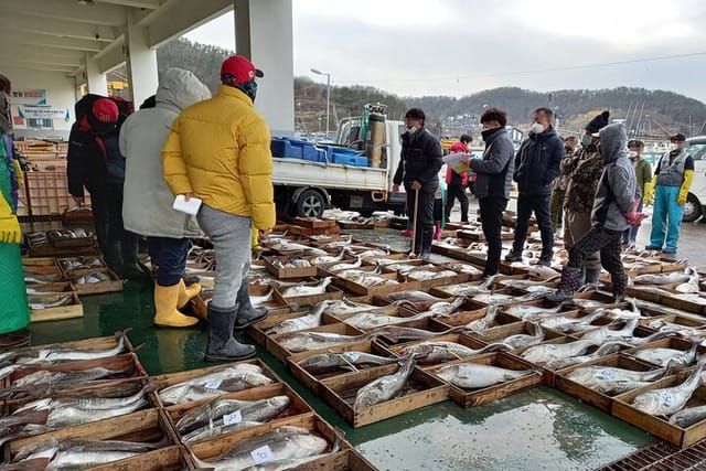 cod-auction-and-clam-auction-in-winter_1